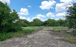 8 ha Otopeni - Poză 3