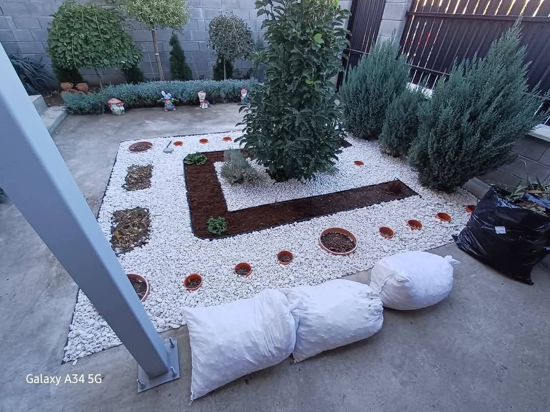 Comision 0% Duplex – Dumbrăvița 94 mp utili | teren 300 mp | - Poză 2