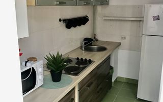 Apartament 1 camera cu nisa de dormit - Poză 5