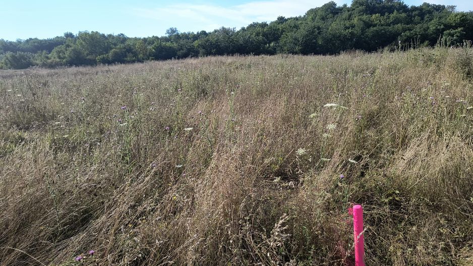 Teren intravilan investitie - Poză 7