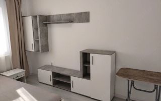 Apartament 1 camera de inchiriat - Lunca Cetatuii, Strada Muncii, Bloc C3 - Poză 1