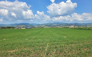 Teren intravilan industrial, 21300 mp, deschidere 77 mp, Vintu de Jos - Poză 1