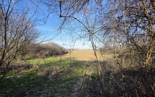 Teren lângă București 6000mp - Poză 7