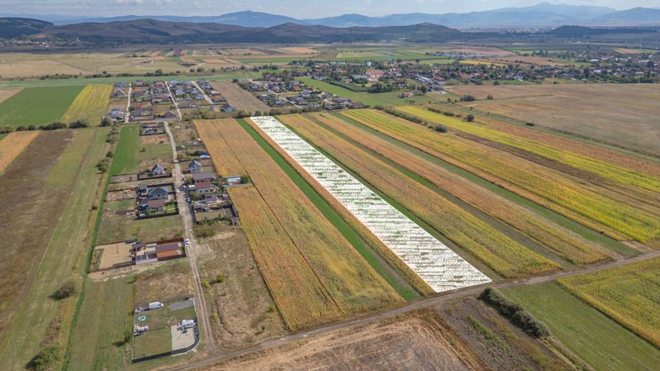 Teren Intravilan Bod | 15.000 mp | Zona Uranus - Constelației - Poză 5