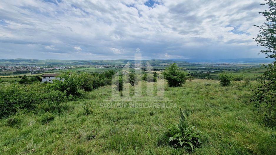 Teren extravilan de vanzare, Paclisa - Poză 1