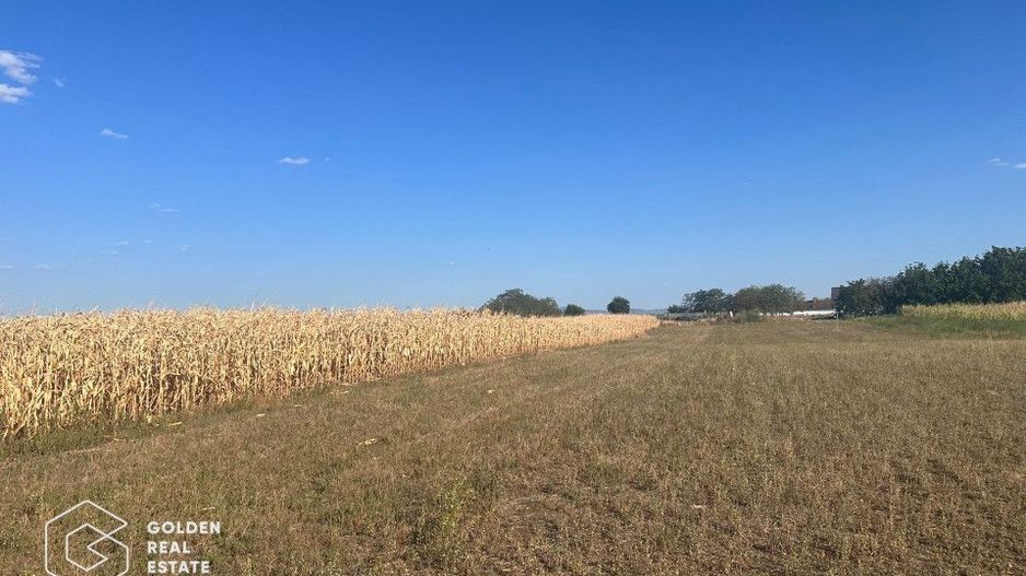 Teren intravilan, Zimandul Nou, posibilitate construire casa, 2200 mp - Poză 3