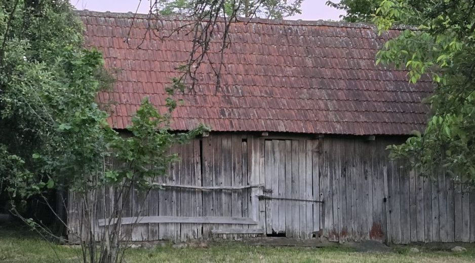 Casă cu 7.769 mp teren și pădure | Budieni | 53.000€ - Poză 11