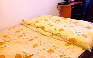 APARTAMENT 2 CAMERE DE VÂNZARE SIBIU, PIAȚA RAHOVEI, PARTER ÎNALT - Poză 10