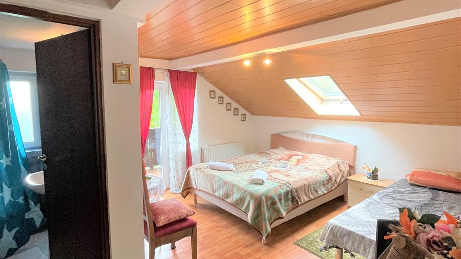 Proprietate in incantarea naturii, oportunitate investitie/rezidential, Predeal - Poză 28