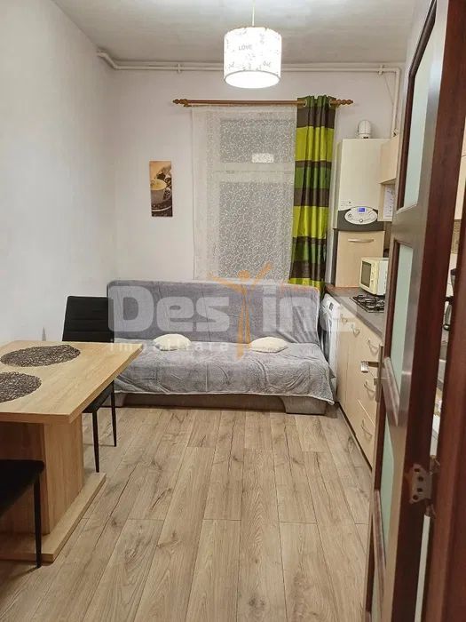 Garsoniera in cartier de case, la curte, pet friendly, Centrul istoric - Poză 3