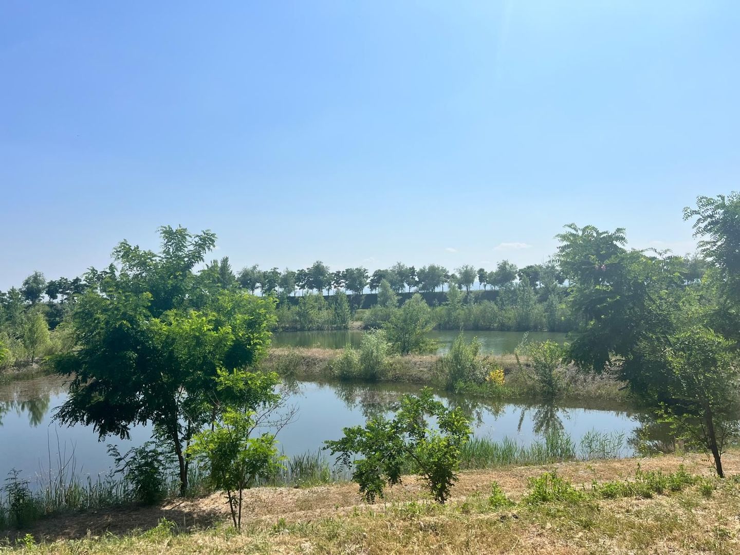 Iaz Piscicol Bacau Saucesti - Poză 4