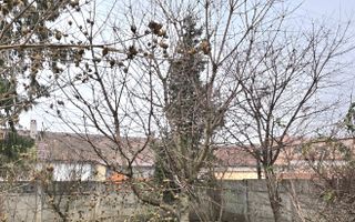DE VANZARE CASA 5CAMERE ZONA CENTRALA TALMACIU - Poză 37