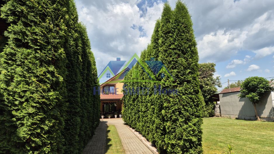 Vand Casa 2 corpuri, P+E, Romanilor, 4 cam, curte, zona de gratar, etc - Poză 2