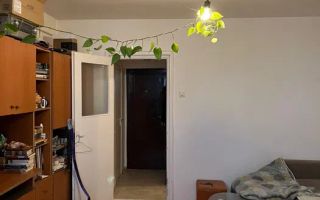 Apartament 1 Camera | 28 Mp | Balcon | Gheorgheni Detunata - Poză 1