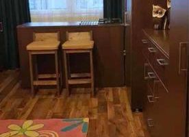 Garsonieră duplex de vânzare – Vitan / Banul Udrea | 66.000 € - Poză 2