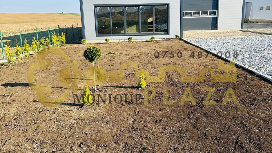 Constructie noua | Pardoseală elicopterizată | Spații administrative | - Poză 6