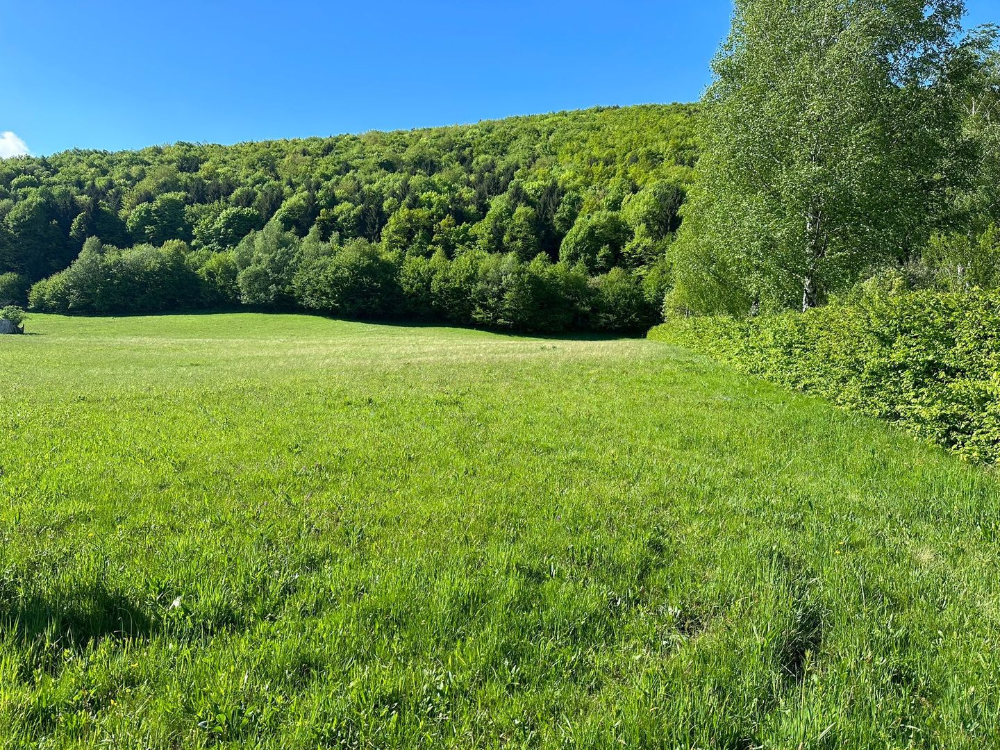 Teren Intravilan in Tocile-priveliste deosebita - Sadu - Sibiu - Poză 2