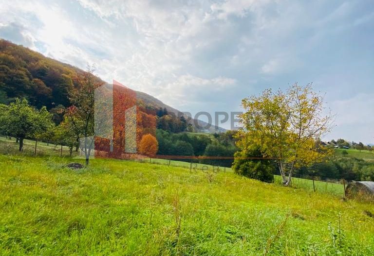 Casa + teren 1700 mp langa Padure Bran/ Predelut - Poză 2