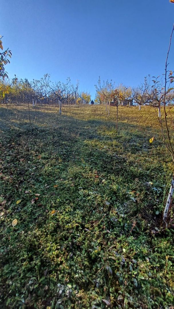 Teren intravilan 3000 mp - Corunca - Poză 8