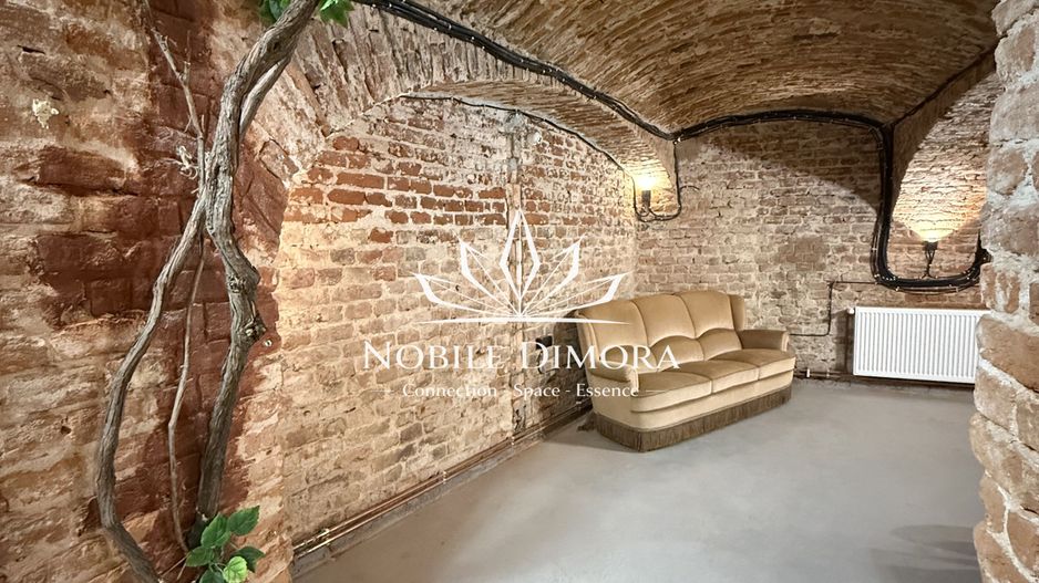 SAD - Spatiu comercial central de 160mp in Arad - ideal: crama, cafenea, magazin - Poză 13