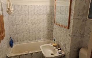 Vand apartament zona linistita - Poză 10