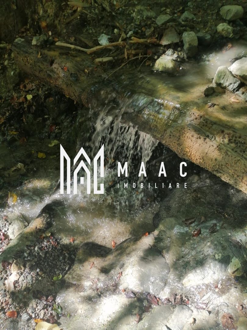 Teren Extravilan 20.000Mp I Stoenești -Vâlcea I Apă Curentă și Pădure - Poză 6