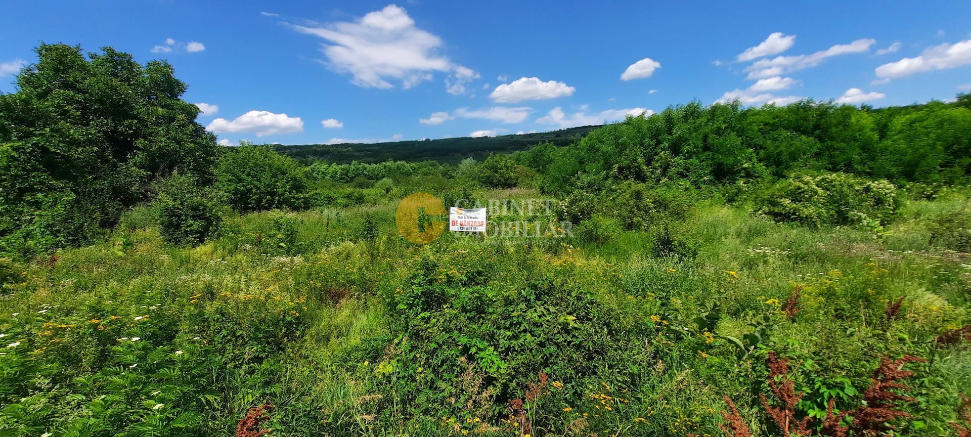 🌳 🌞🌿 TEREN INTRAVILAN OSOI 2800 mp - 49.999 Euro ! 🌳🌞🌿 - Poză 9