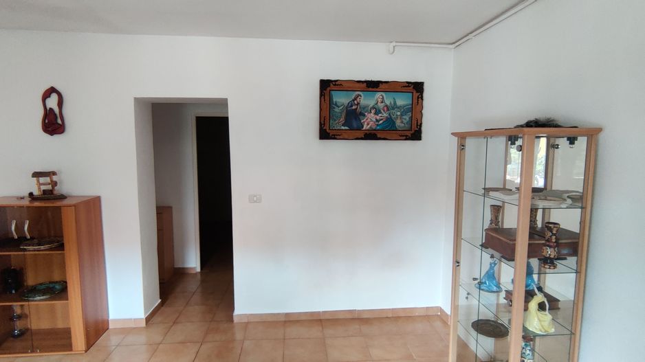 CASA INDIVIDUALA SI HALA CU TEREN  4000 MP - Poză 17