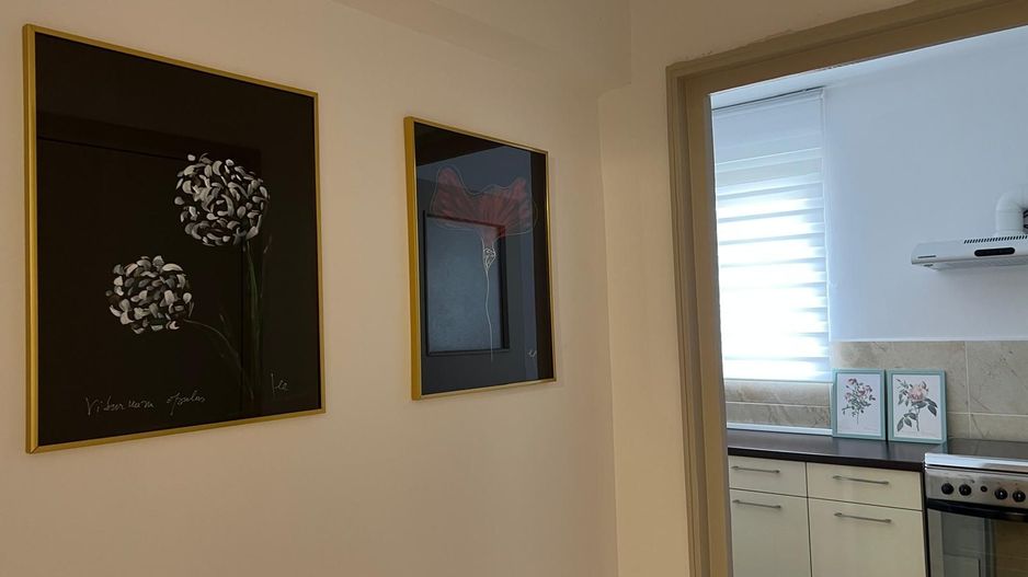 Apartament cochet, trei camere, Vatra Luminoasa - Poză 10