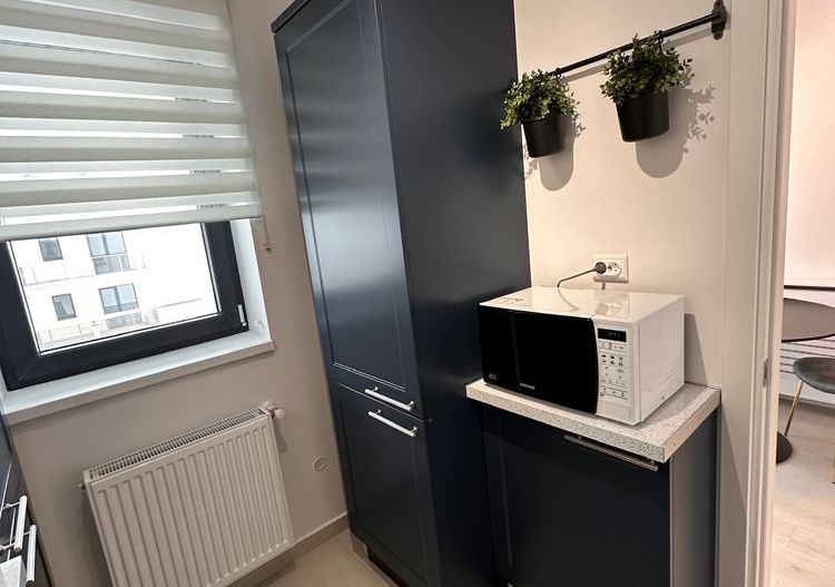 HILS BRAUNER | Proprietar | GARSONIERA premium - Poză 5