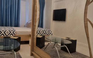 Apartament 1 camera Copou - 399 euro - Poză 4