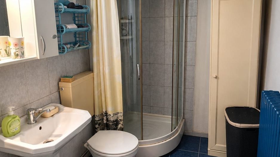 Casă de vanzare cu 4 camere 107 mpu pivnita anexe curte gradina Sebes - Poză 7