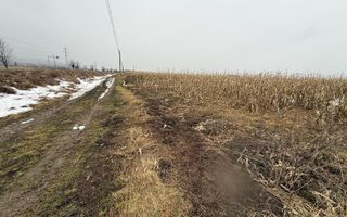 Teren extravilan | Gălănești | 7.276 mp | Front 29 m - Poză 3