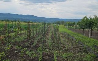 Teren intravilan de vânzare | Râmnicu Vâlcea | 2.800 mp - Poză 3