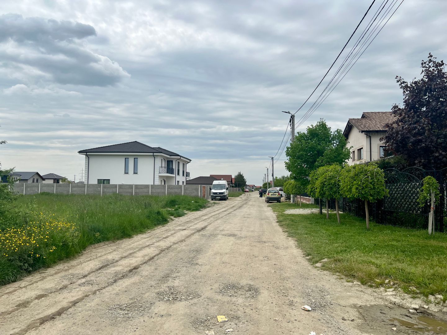 TEREN MOSNITA NOUA - Poză 1