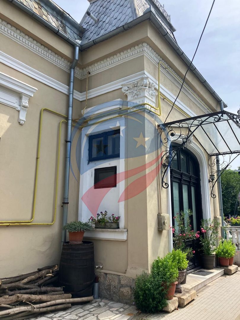 CASA BOIEREASCA P+M - ZONA CENTRALA - Poză 1