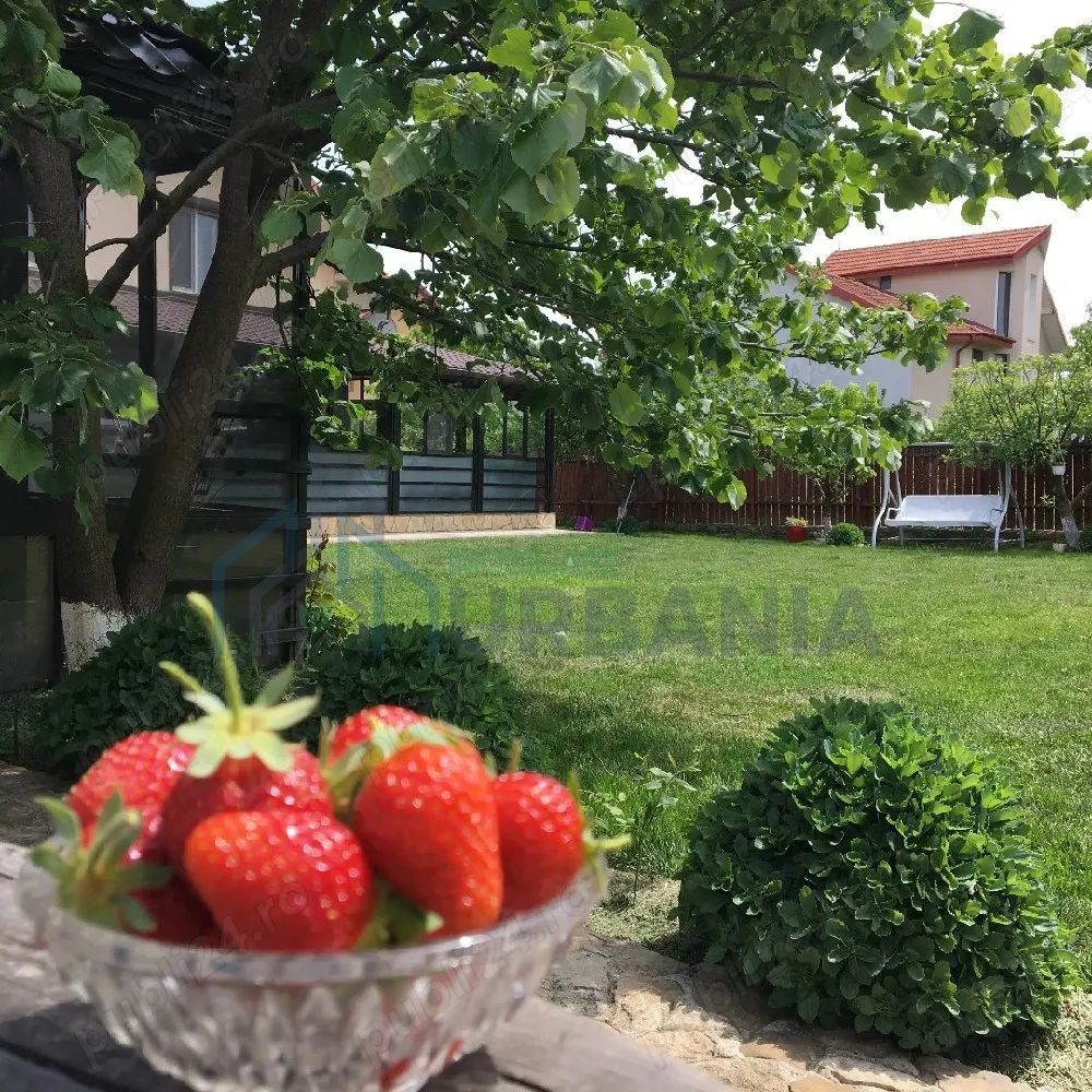 # Casă renovată 2024, panouri solare, teren 2100 mp, Lunca Cetatuii. - Poză 6