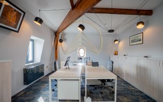 Vilă istorică de vânzare în Peninsula Constanța - Poză 8