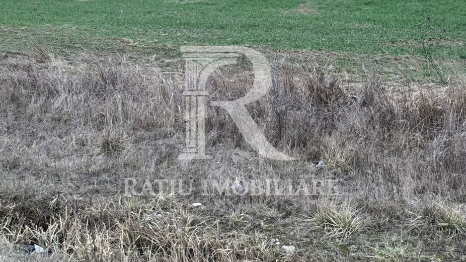 Teren de inchiriat | 20,088 ha | Sacadat | Bihor - Poză 1