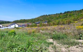 Corunca - 650 mp cu PUZ - zona superba si linistita - Poză 2