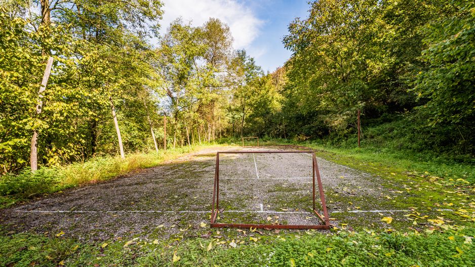 Domeniu în satul Căprioara - Poză 30