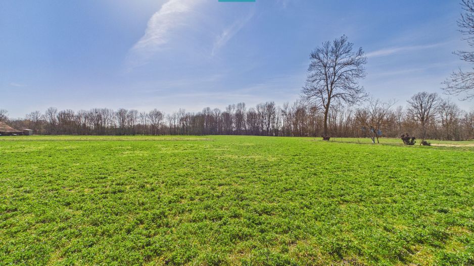 Casă cu teren generos de 6.000 m² - Poză 16