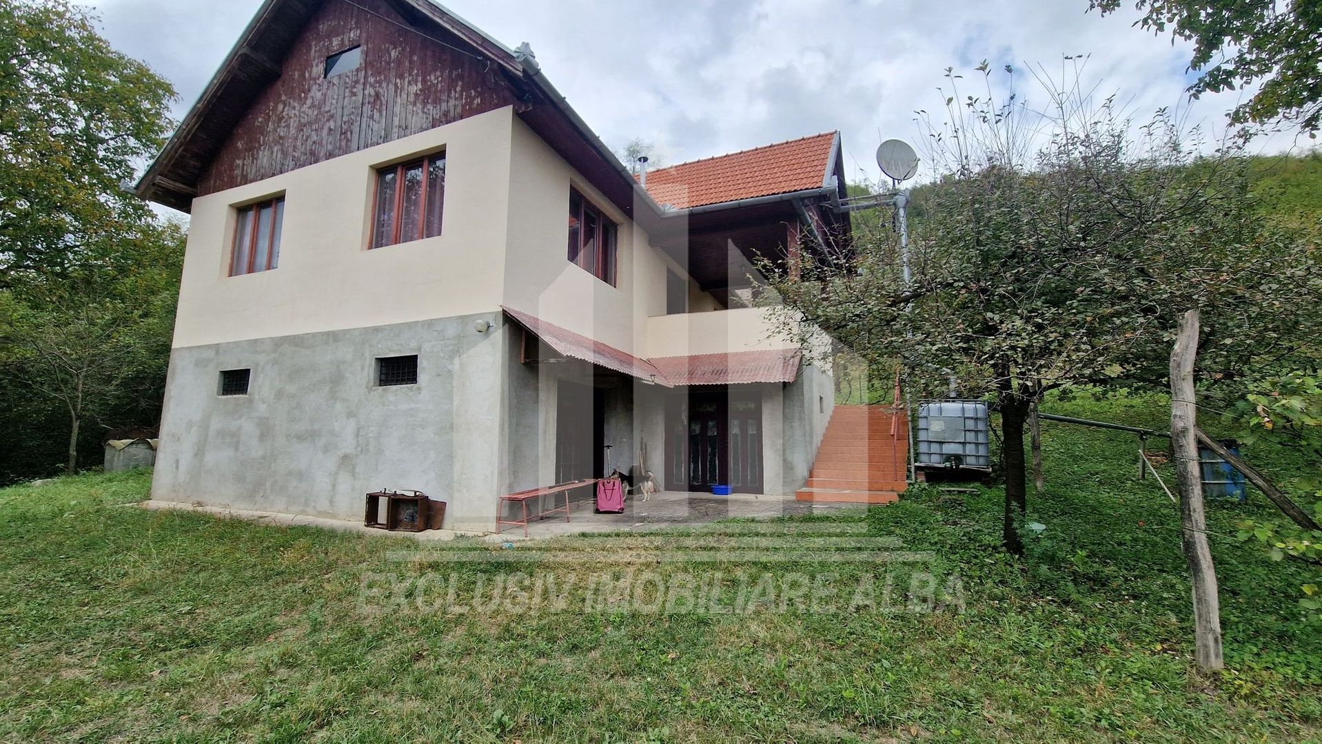 Casa cu livada in Cetea - Poză 24