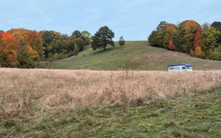 Teren intravilan 17,265 mp in Tomnatic comuna Vadu Crisului - Poză 4