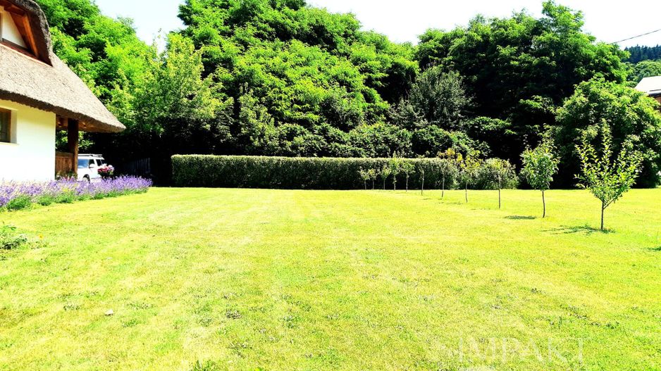 Casa traditionala de vis, aproape de Cluj-Napoca - Poză 5