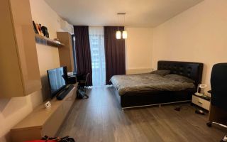 Apartament 1 Camera Modern De Inchiriat | Park Lake | Balcon 7mp | Iulius Mall - Poză 2
