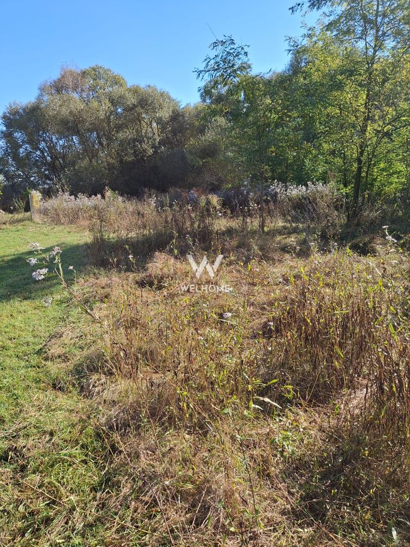 Teren de vanzare Daia Noua - Poză 1