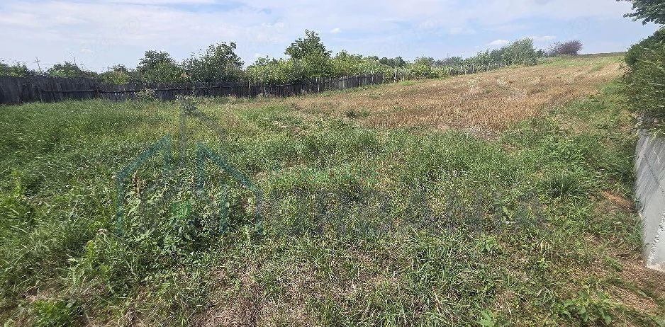 Teren intravilan de vânzare în Iași, Lețcani - 1267 mp - Poză 2
