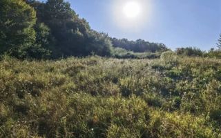Teren de 6200 mp în intravilan, Barnova – ideal pentru pensiune turistică sau parcelare case de vacanță - Poză 1