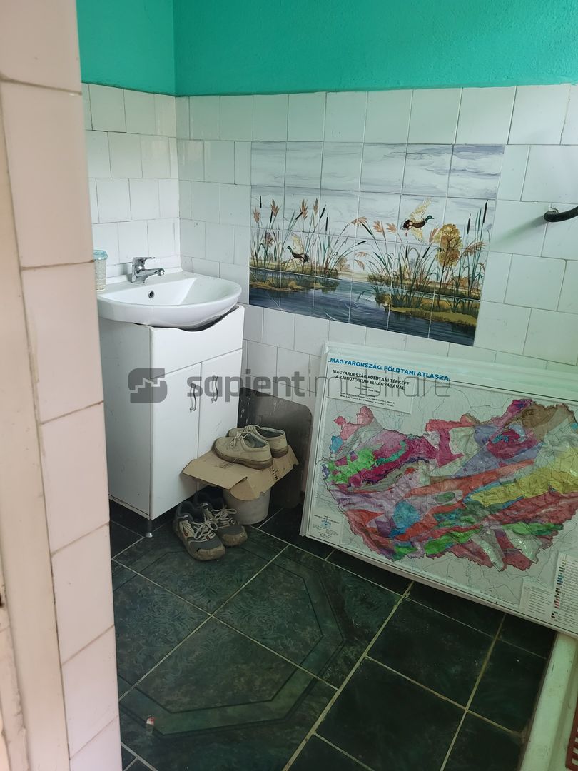 Casa de vanzare pentru 2 familii 5 camere 482mp - Poză 11